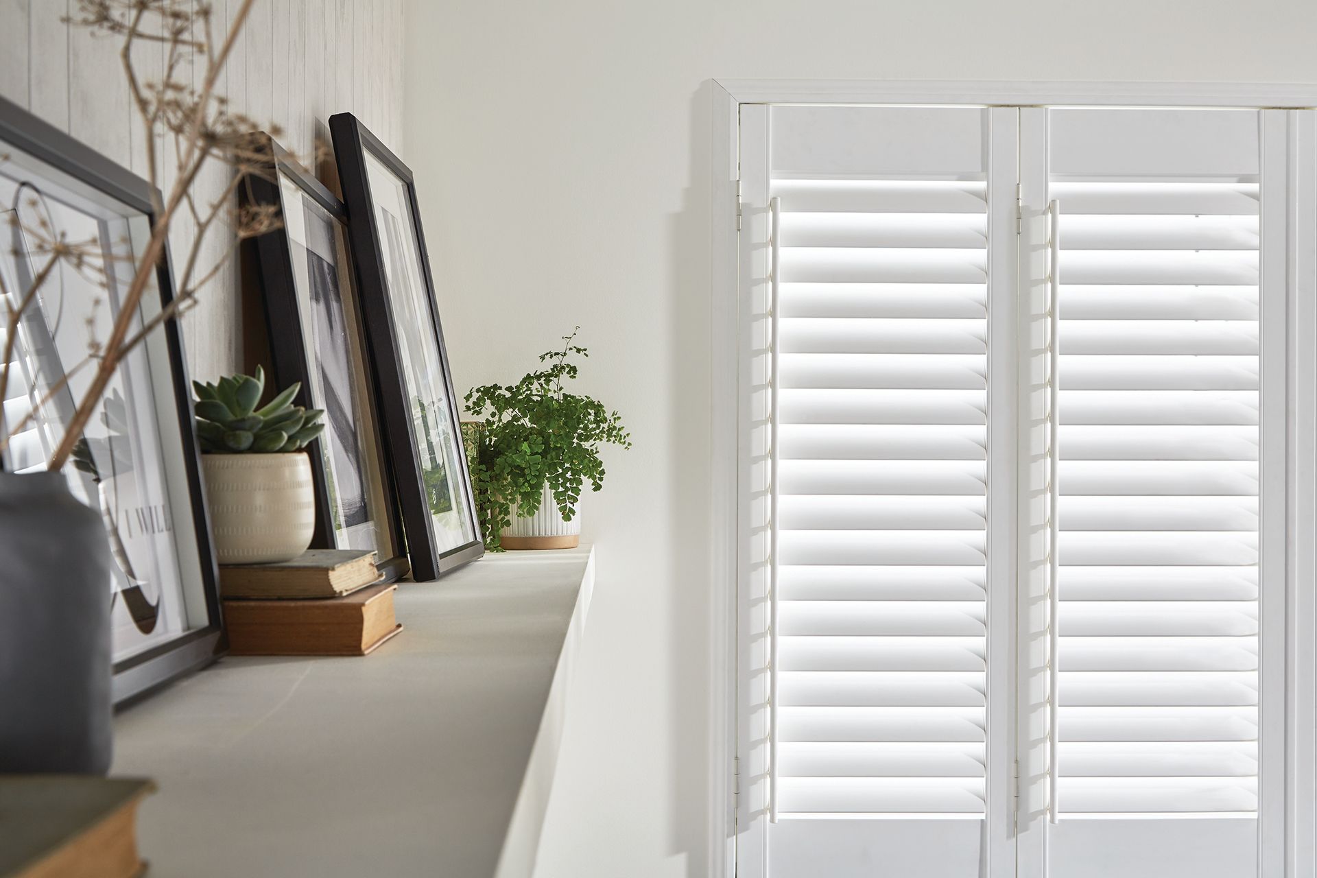 White shutters on a window with a shelf holding framed pictures and plants.