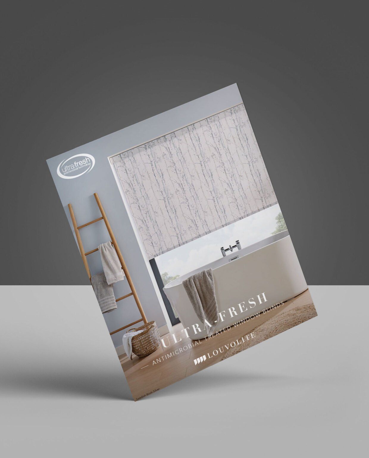 Brochure with bathroom scene, titled 