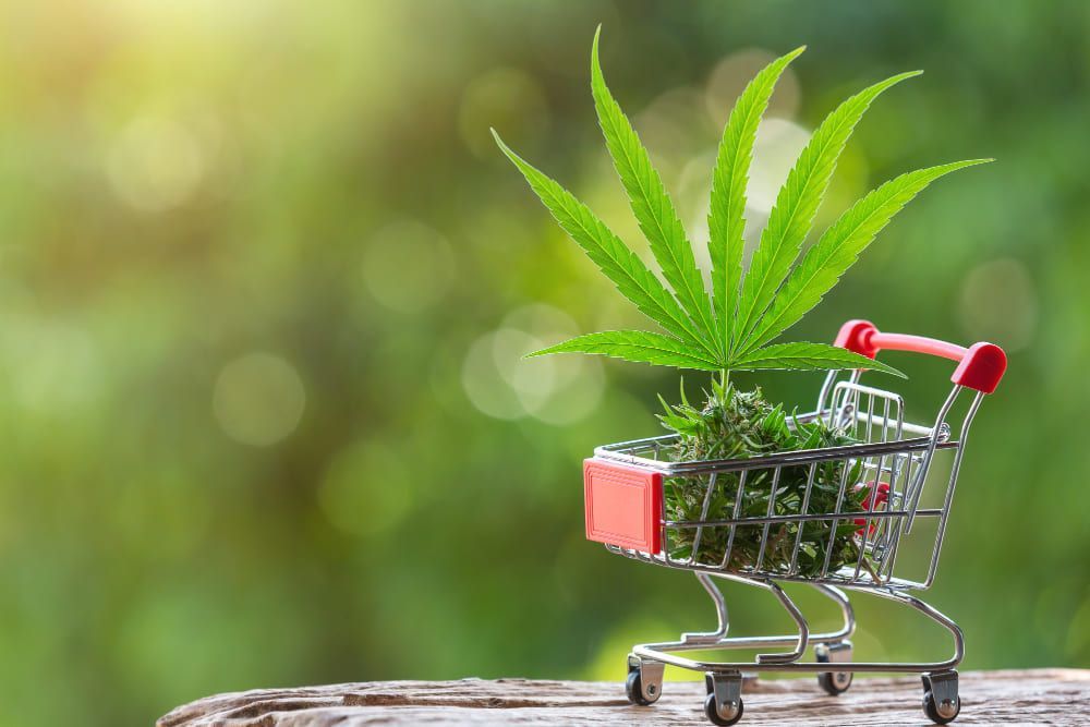 Guide to Cannabis Payment Processing Solutions