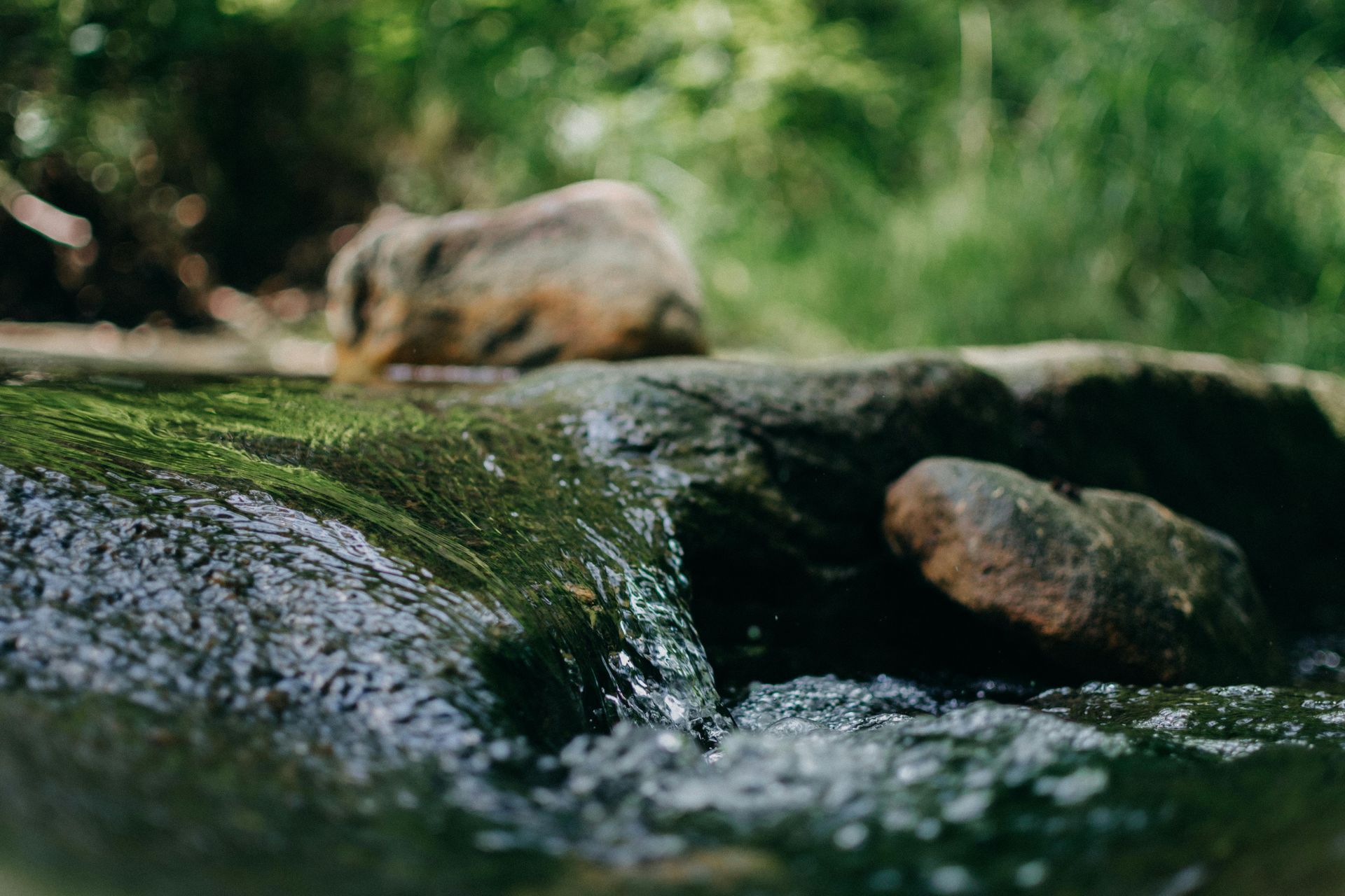 A squirrel is drinking water from a stream.