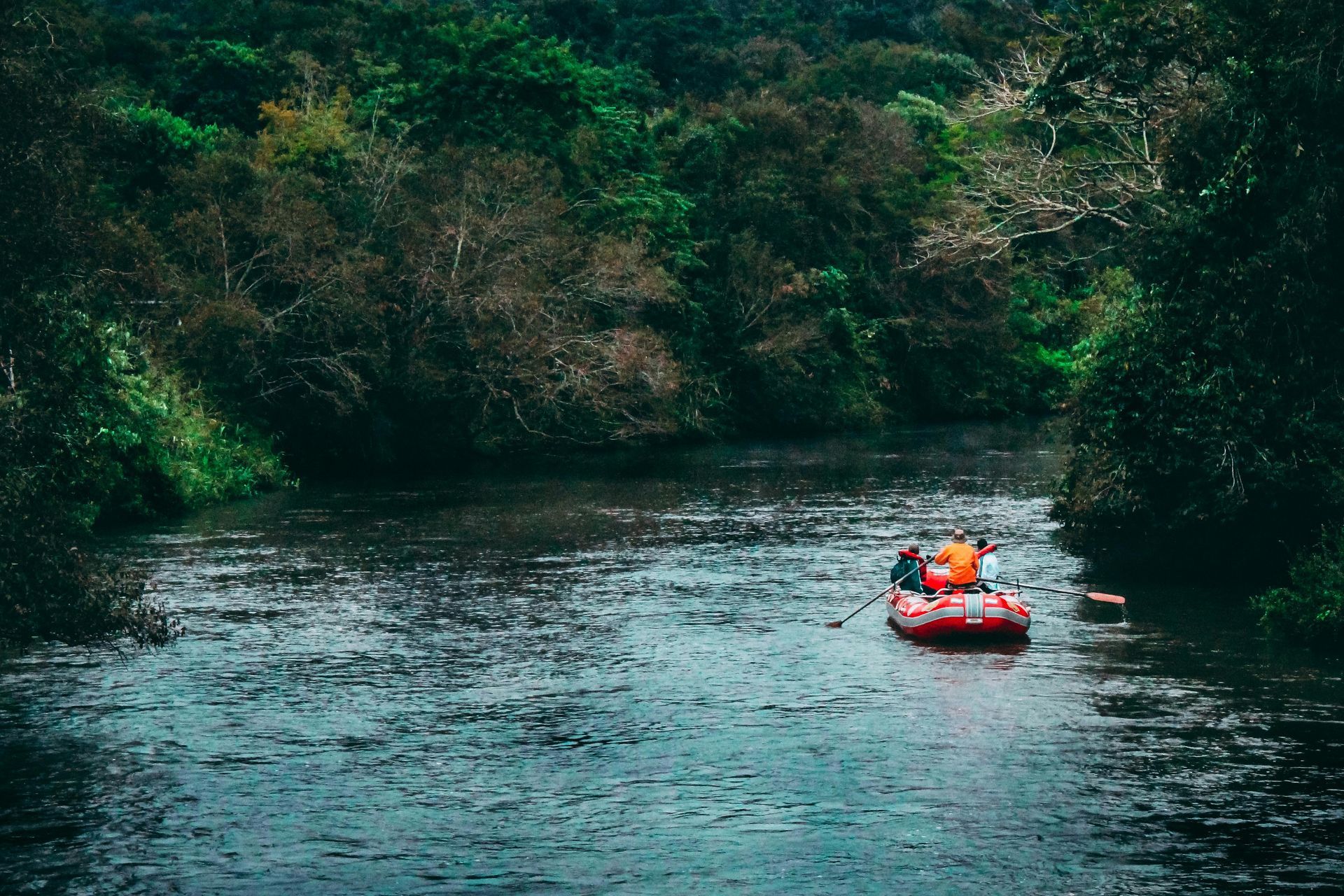 A group of people are rafting down a river.