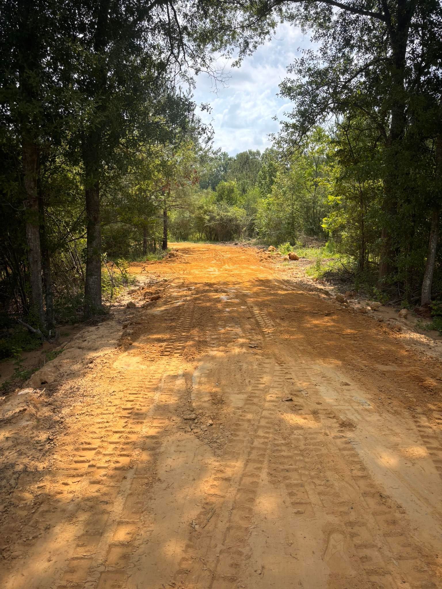 A dirt road path leads through a wooded forest with bright orange, loose soil and visible tire tracks.