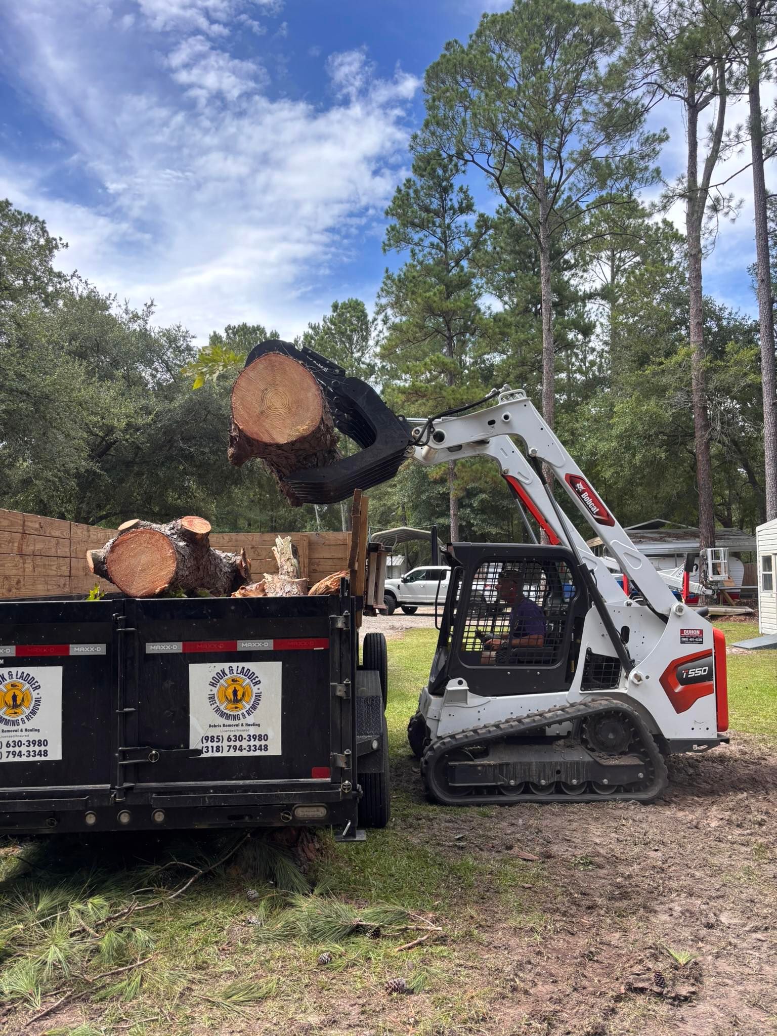A white Bobcat skid-steer loader uses a grapple attachment to lift a large log into a black utility trailer.