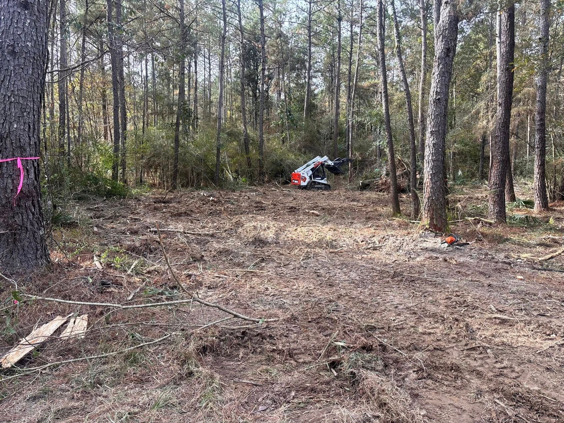 A piece of construction equipment clears brush and small trees in a wooded area.