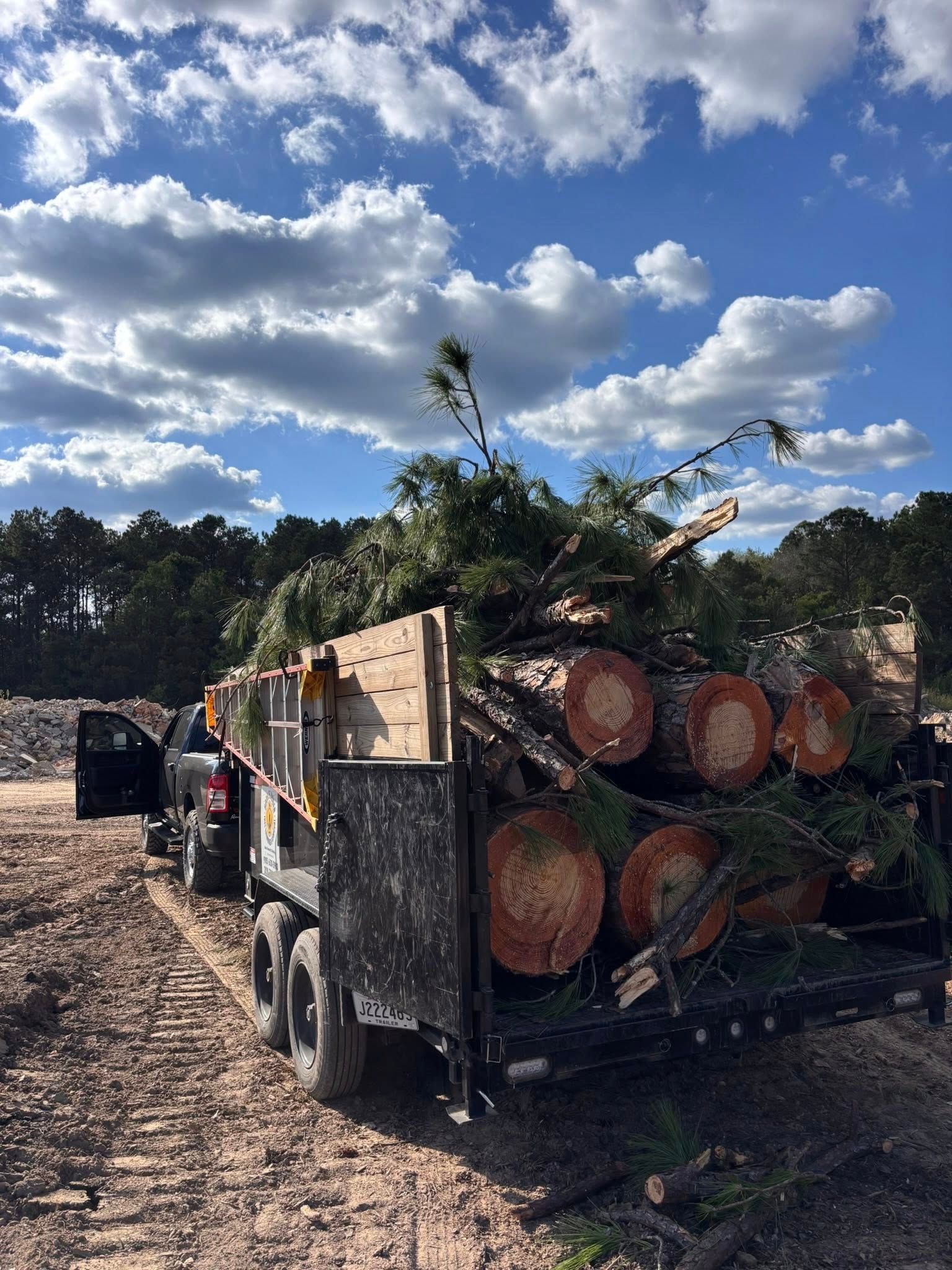 A truck trailer loaded with large, freshly cut pine logs and branches, parked on a dirt lot under a cloudy blue sky.