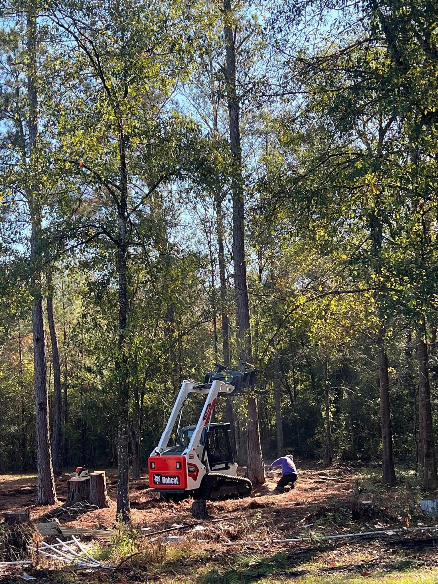 A person in a wooded area operates a white and red skid-steer loader near a standing tree.