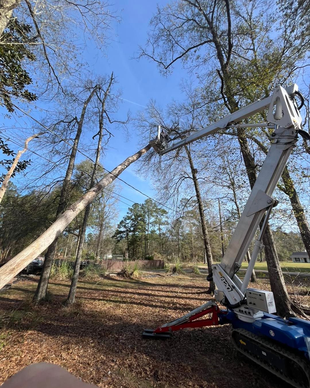 A blue tracked aerial lift reaching up into a forest canopy to trim tree branches against a clear blue sky.