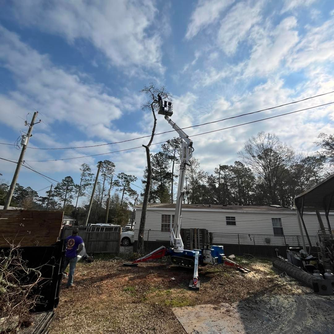A worker in a bucket lift trims a tall tree near power lines and a mobile home on a sunny day.