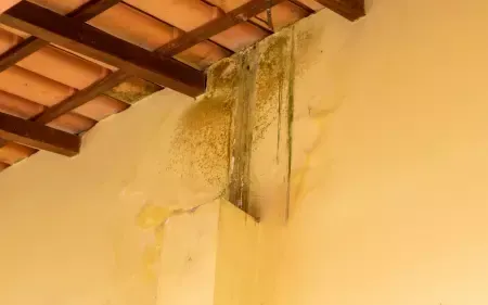 impermeabilizar tejado para reparar humedades y filtraciones de agua en avarra