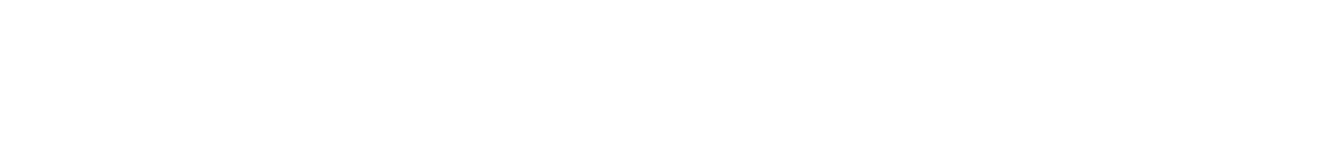 Plain white horizontal banner on a light gray background