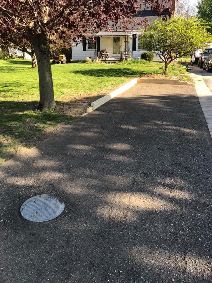 A sunlit driveway leading to a house, bordered by trees and grass.