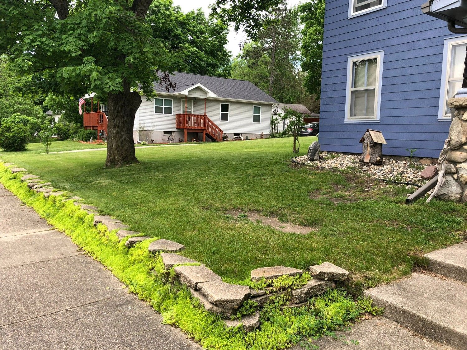 Residential yard with blue house, white house in back, tree, and stone-lined grass beside a sidewalk.