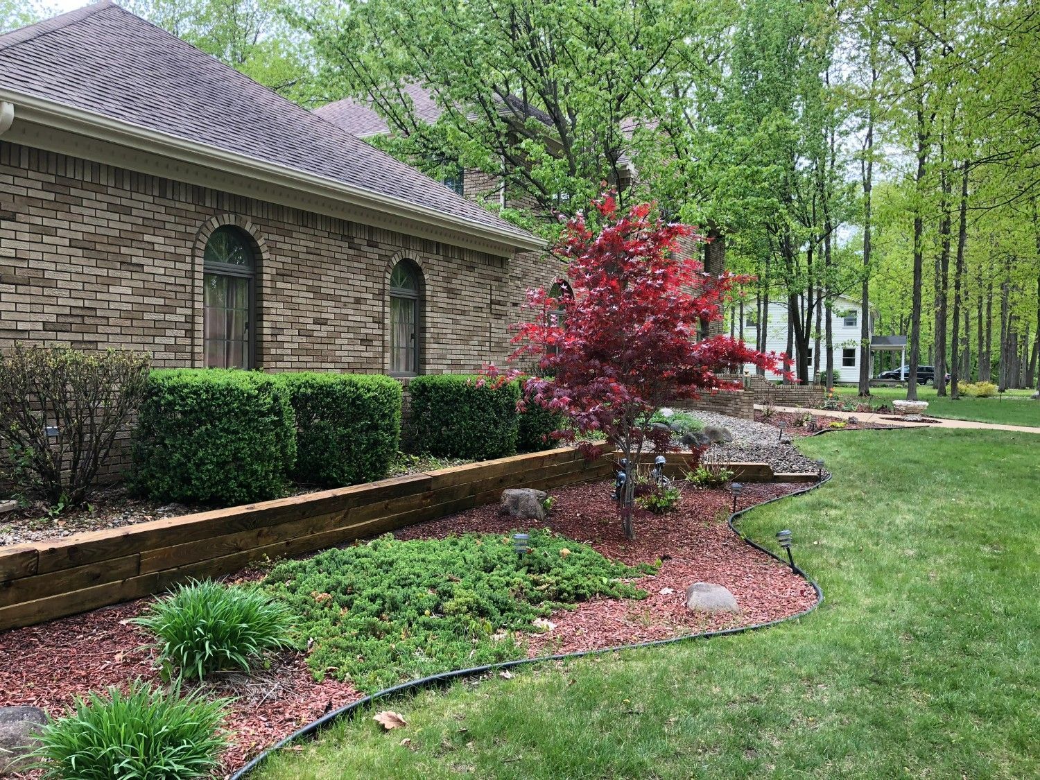 Brick house with arched windows, manicured shrubs, and a red-leaf tree in a landscaped yard