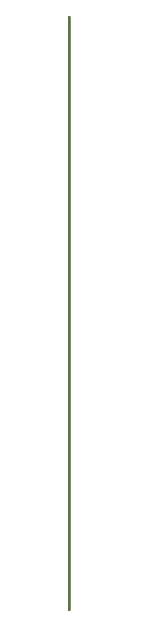 Thin vertical gray line on a white background