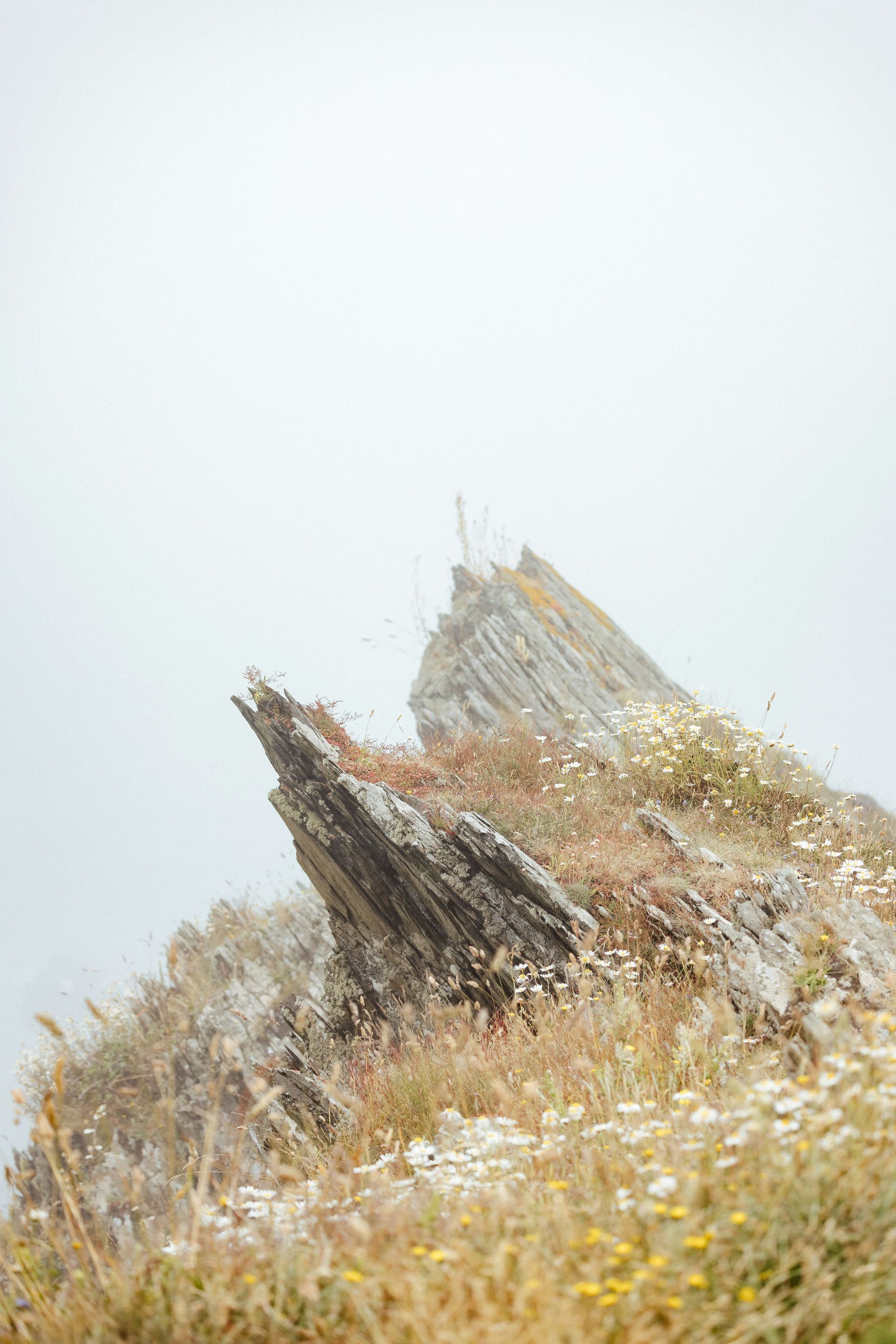 Jagged brown rock formation in a pale sky above dry grass