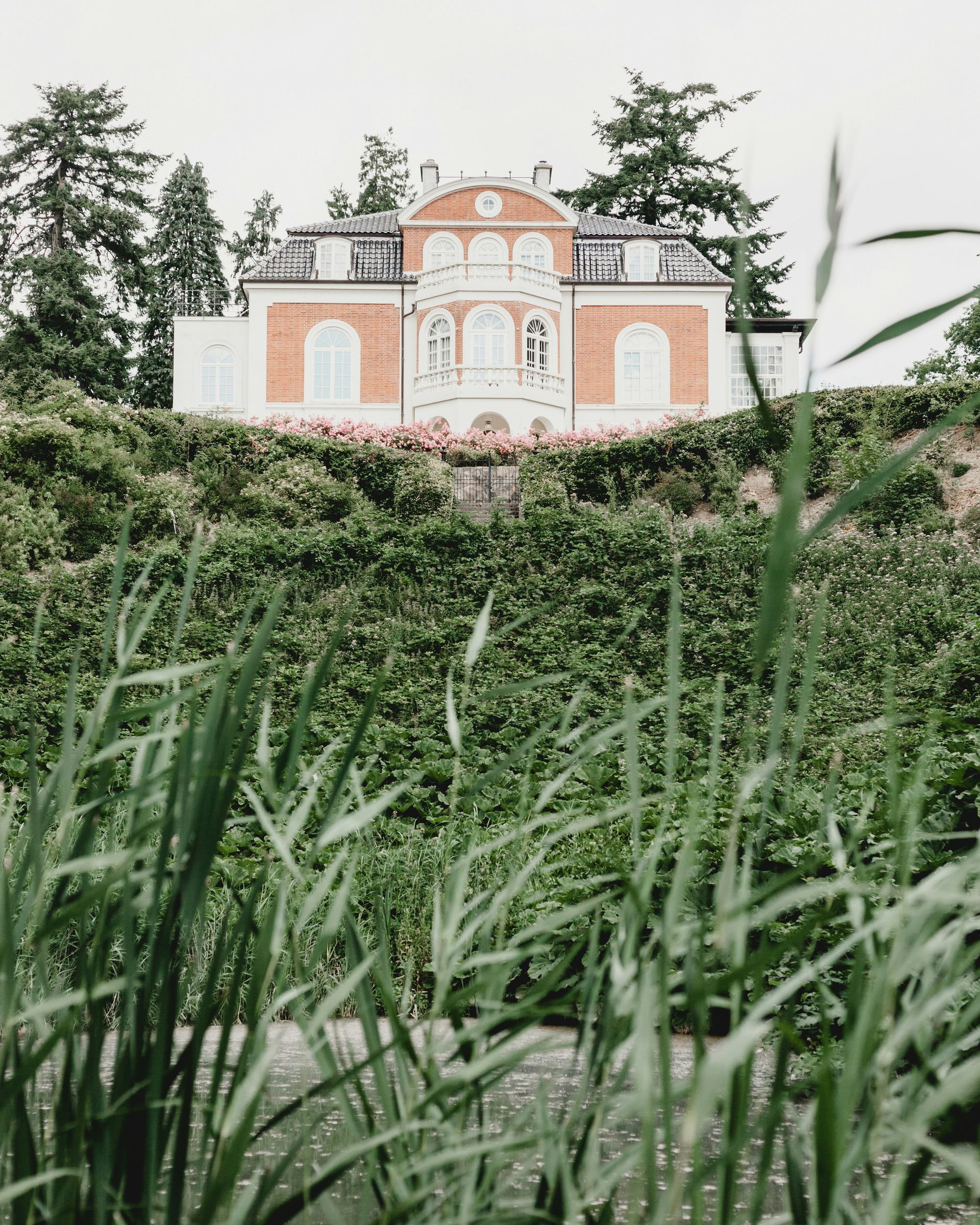 Pink and white villa behind tall green grass under an overcast sky