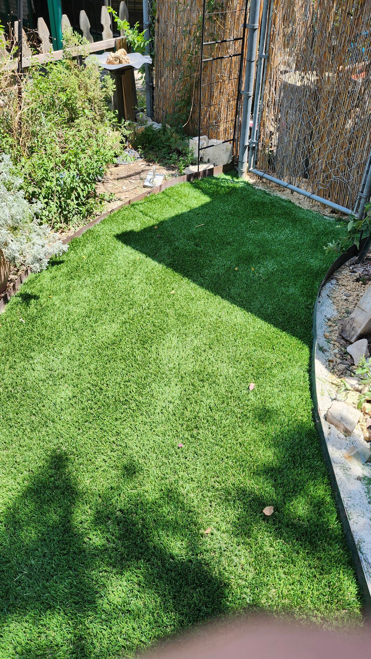 Small patch of green artificial turf in a garden, edged by stone and other plants; shadow across it.
