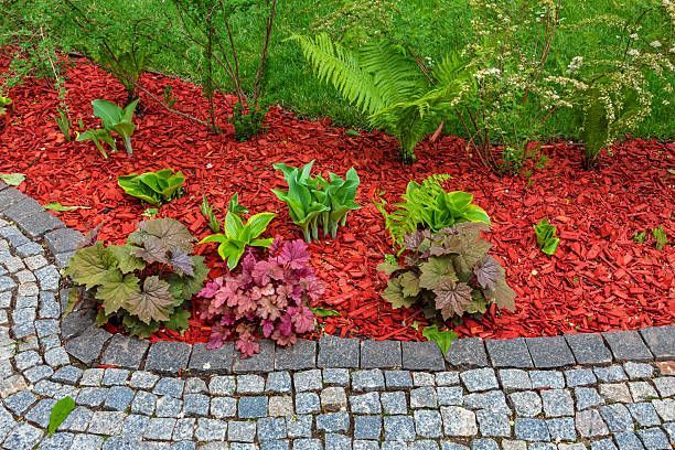 A curved stone paver path borders a garden bed covered in bright red mulch, featuring various green and purple plants.