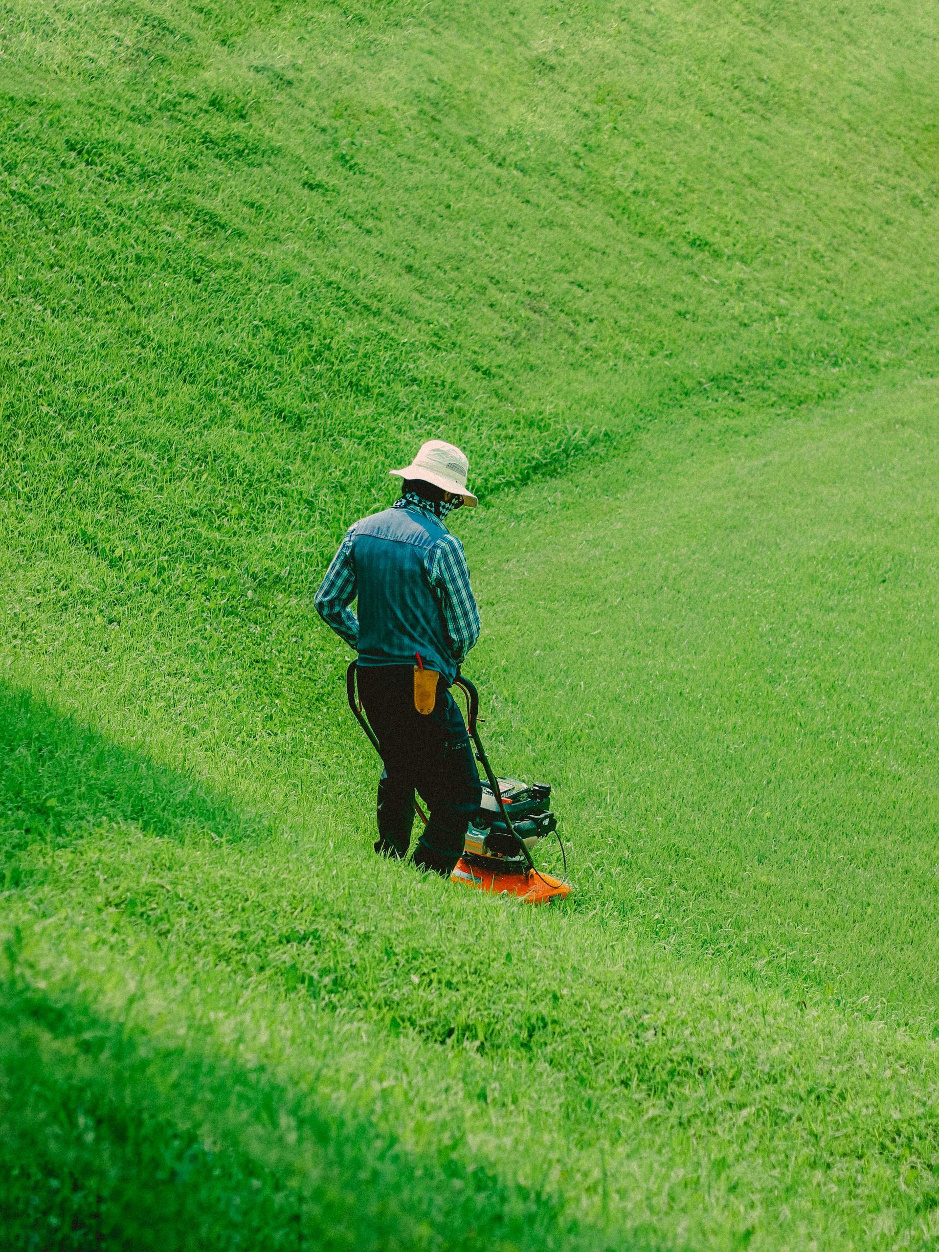 A person in a hat and blue shirt uses a handheld orange weed trimmer on a sloping, vibrant green grassy hillside.