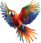 A colorful parrot is flying in the air with its wings spread