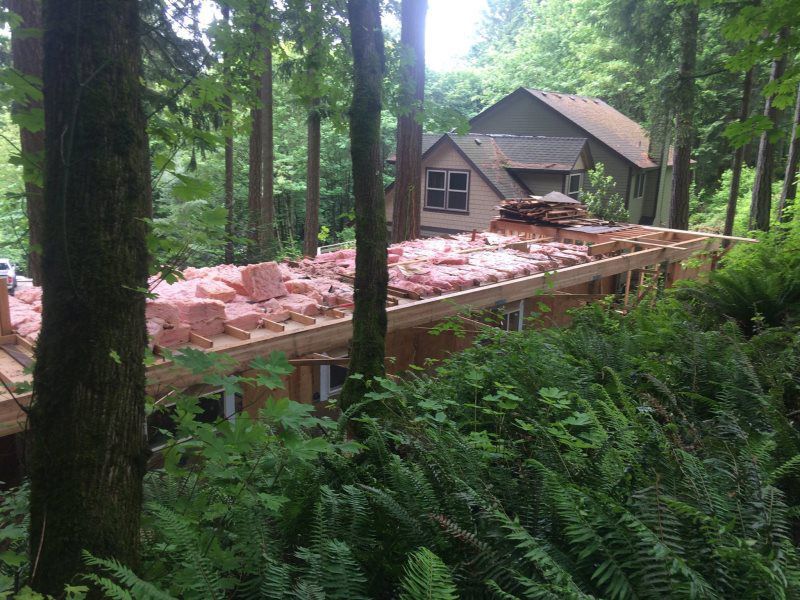 A house is being built in the middle of a forest