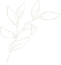 white flower logo icon