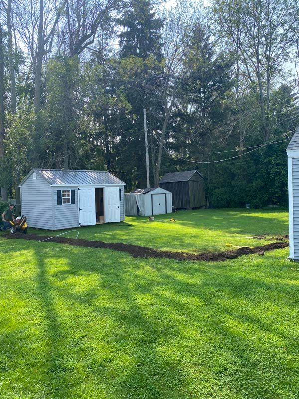 Backyard with two small sheds on a sunny green lawn, bordered by trees.