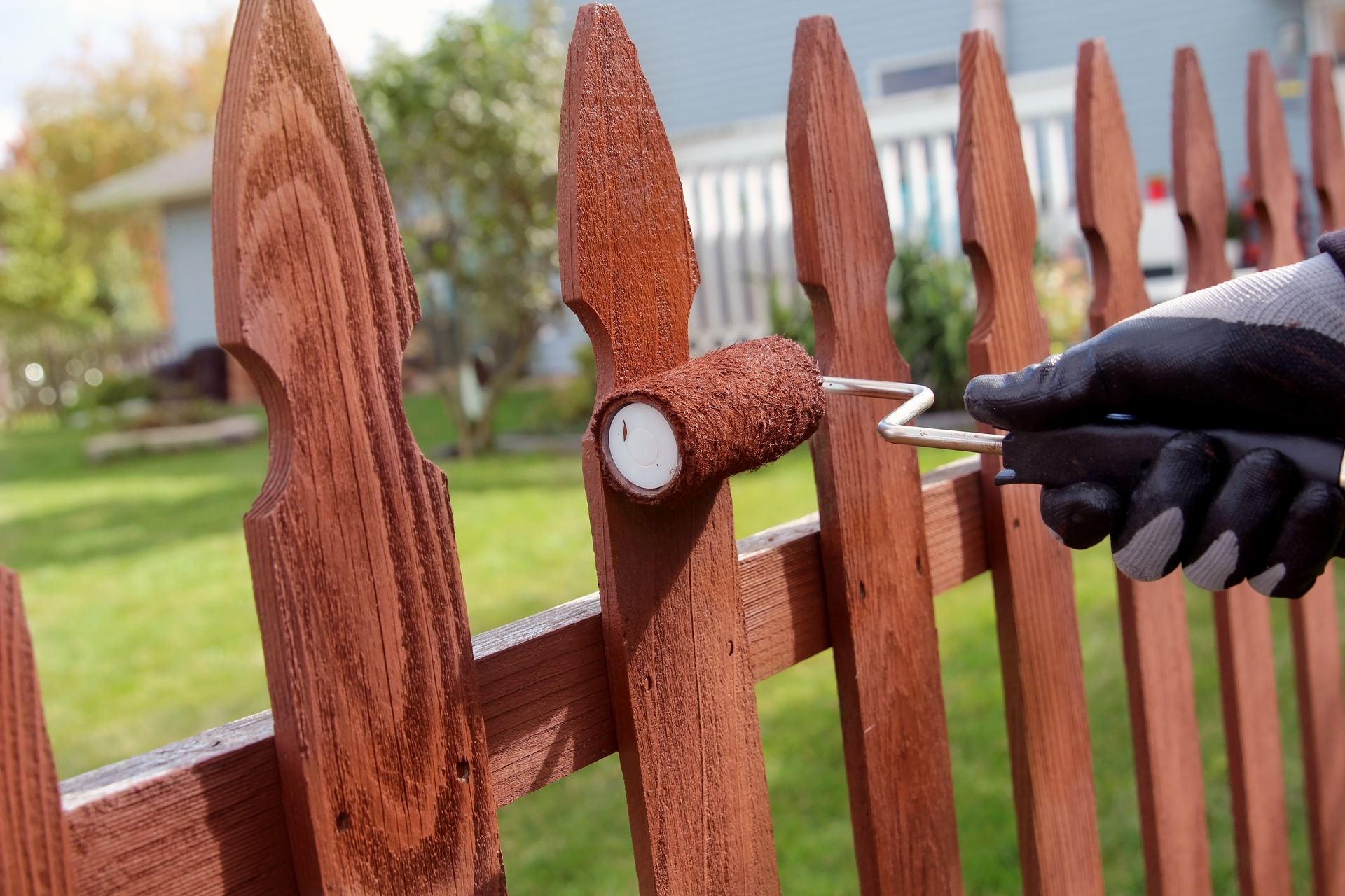 A gloved hand uses a small foam roller to apply reddish-brown stain to a wooden picket fence in an outdoor setting.