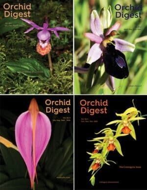 Four orchid digest magazine covers with flowers on them