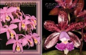 A picture of pink flowers next to a picture of a leopard print orchid