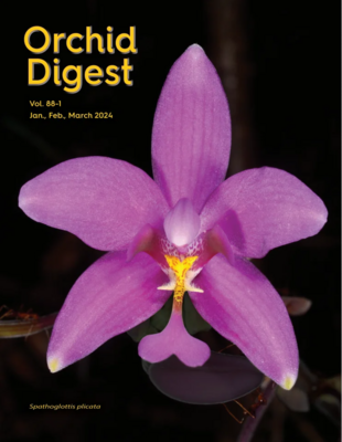 Four covers of orchid digest magazine with purple and blue flowers on them.