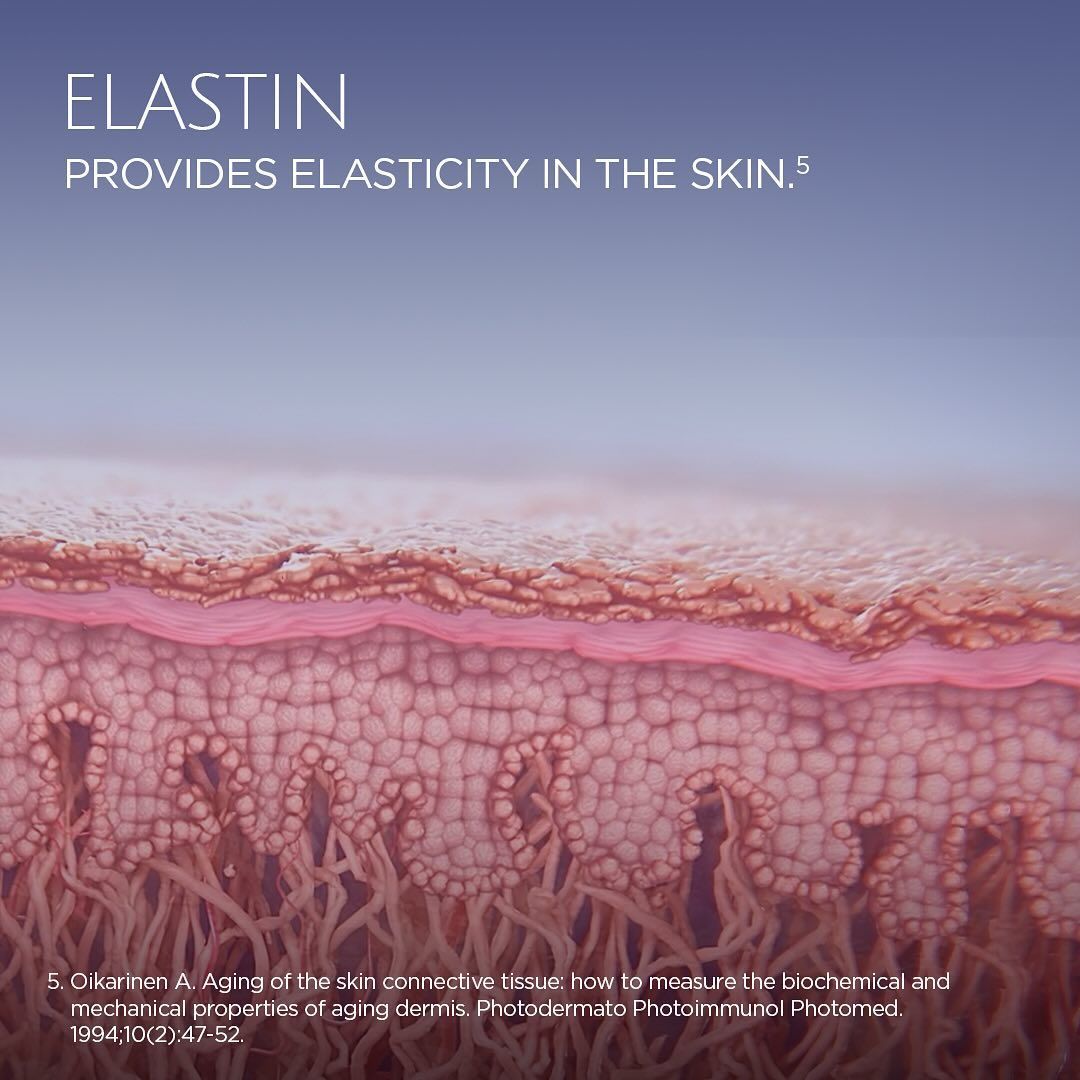 An advertisement image by Sculptra for elastin provides elasticity in the skin