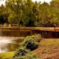 Quiet pond with a grassy bank, dense trees, and a low stone wall in the background.
