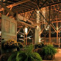 Rustic barn-style interior with wooden beams, hanging lights, and lush potted plants at night