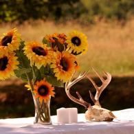 Sunflowers in a vase beside candles and antlers on a white table outdoors