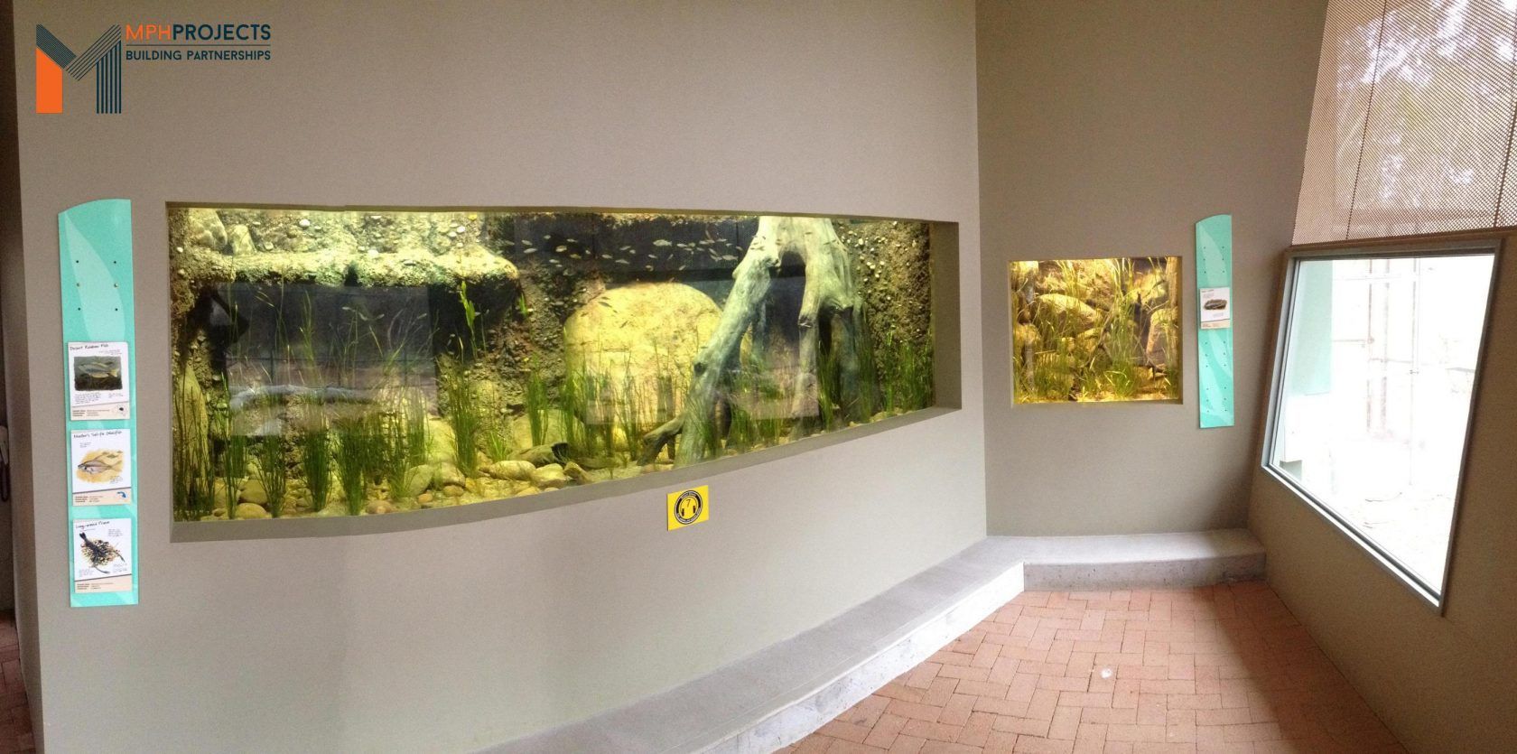 Aquarium exhibit with a large tank and informational panels.
