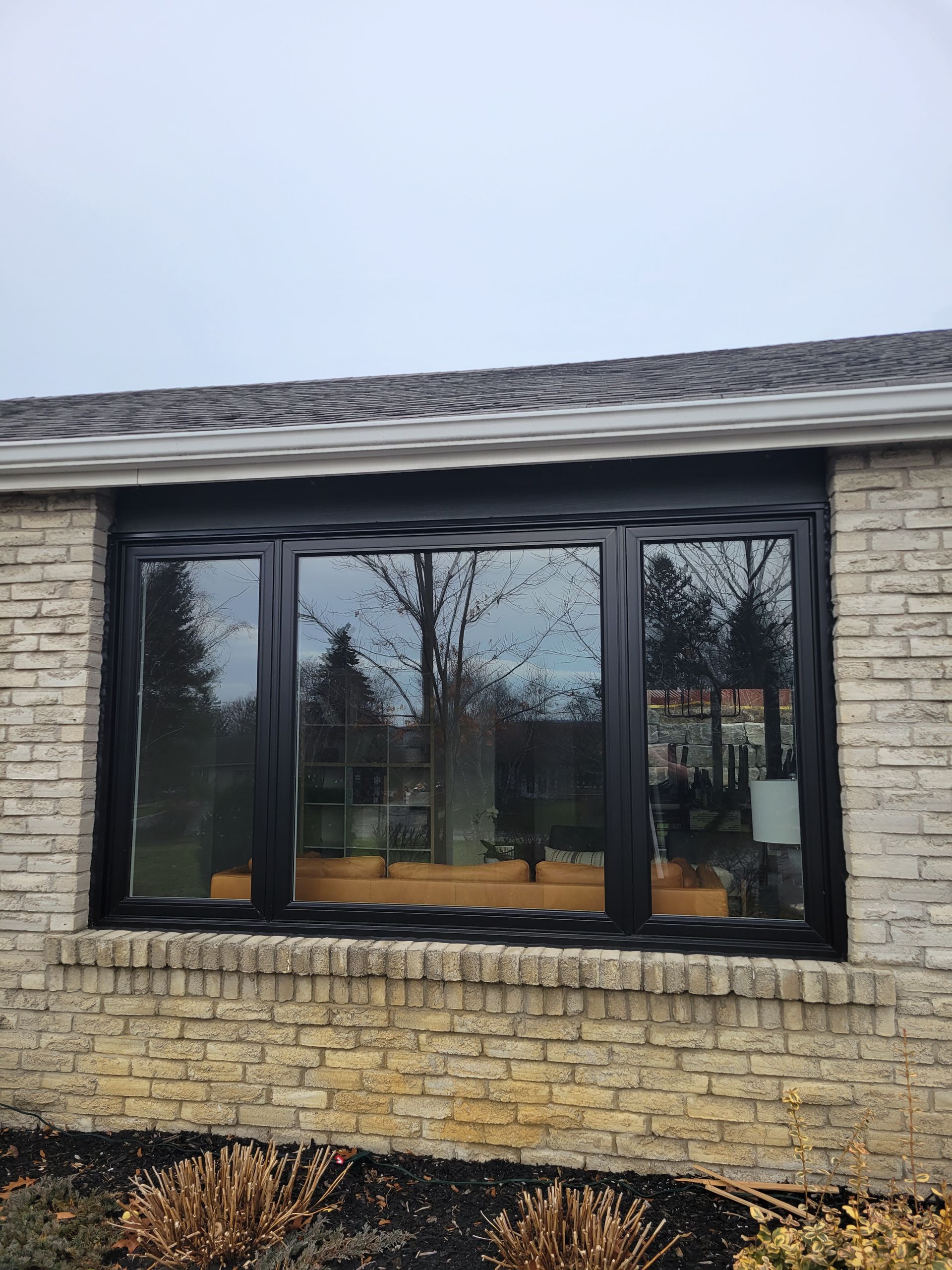 Black-framed windows in a brick wall, reflecting trees under a cloudy sky.
