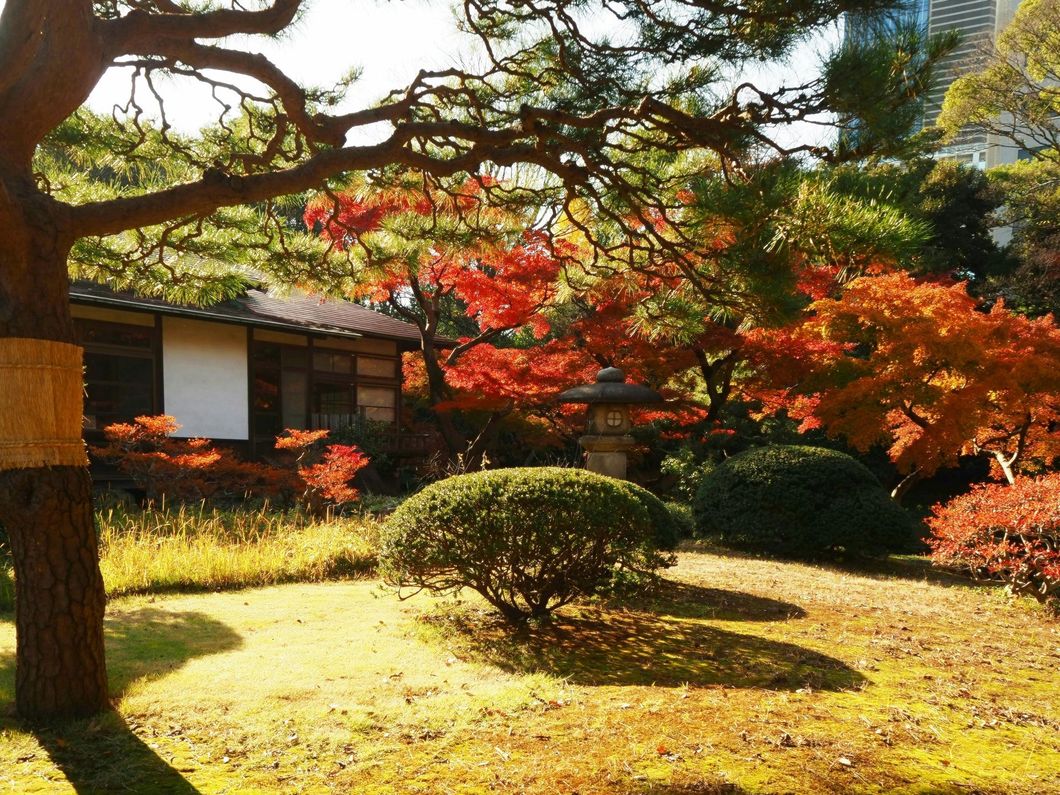 Japanese garden with red and orange autumn foliage, a small building, and a stone lantern.