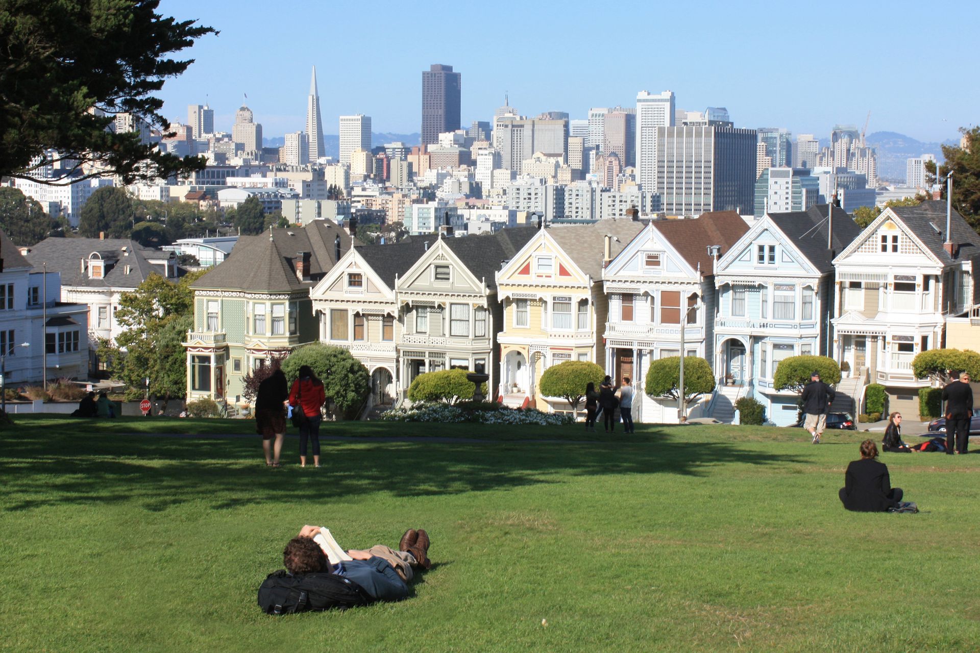 Painted Ladies