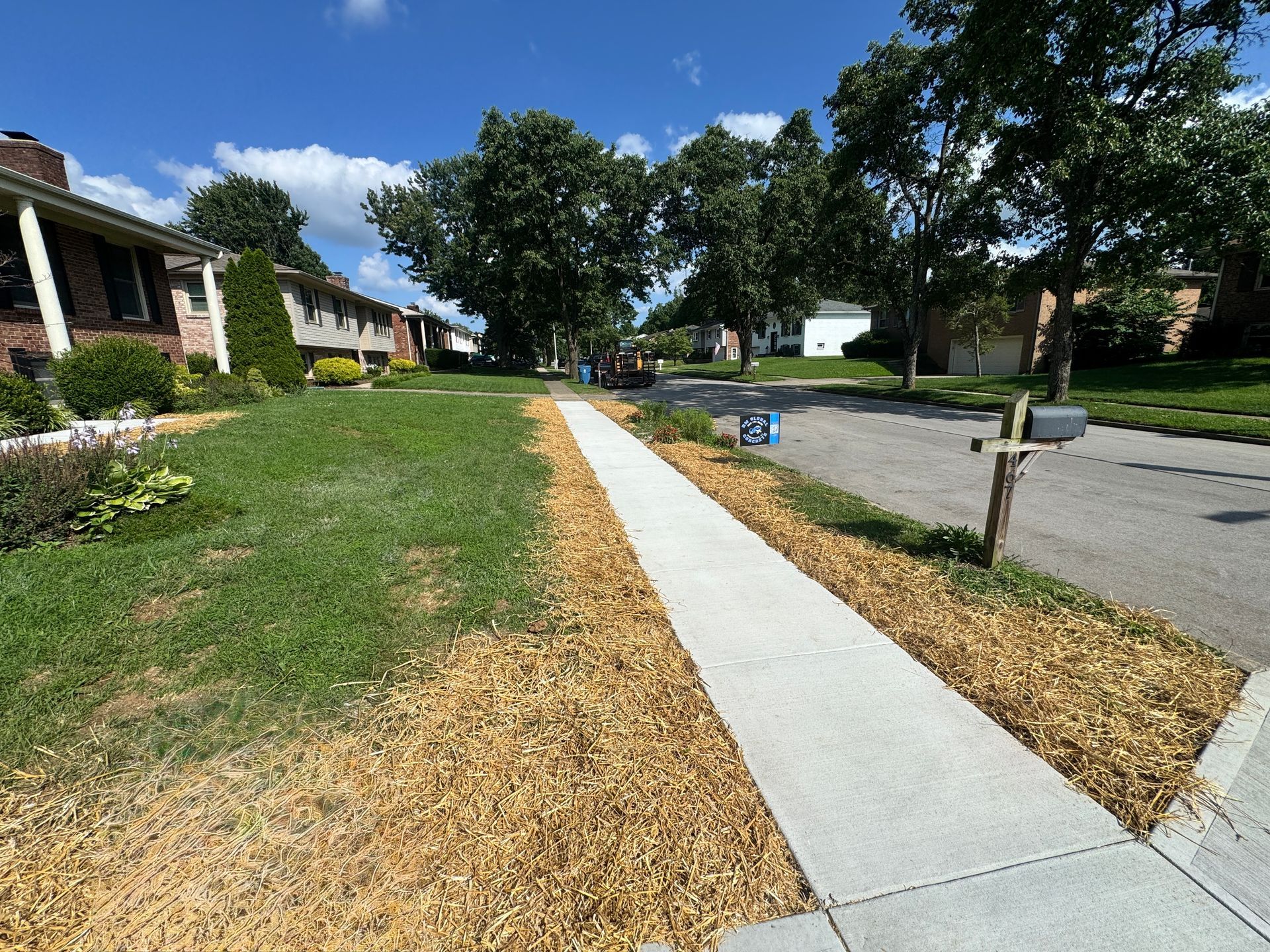 Sunny suburban sidewalk beside houses and a quiet street, with trees and dry grass along the curb.