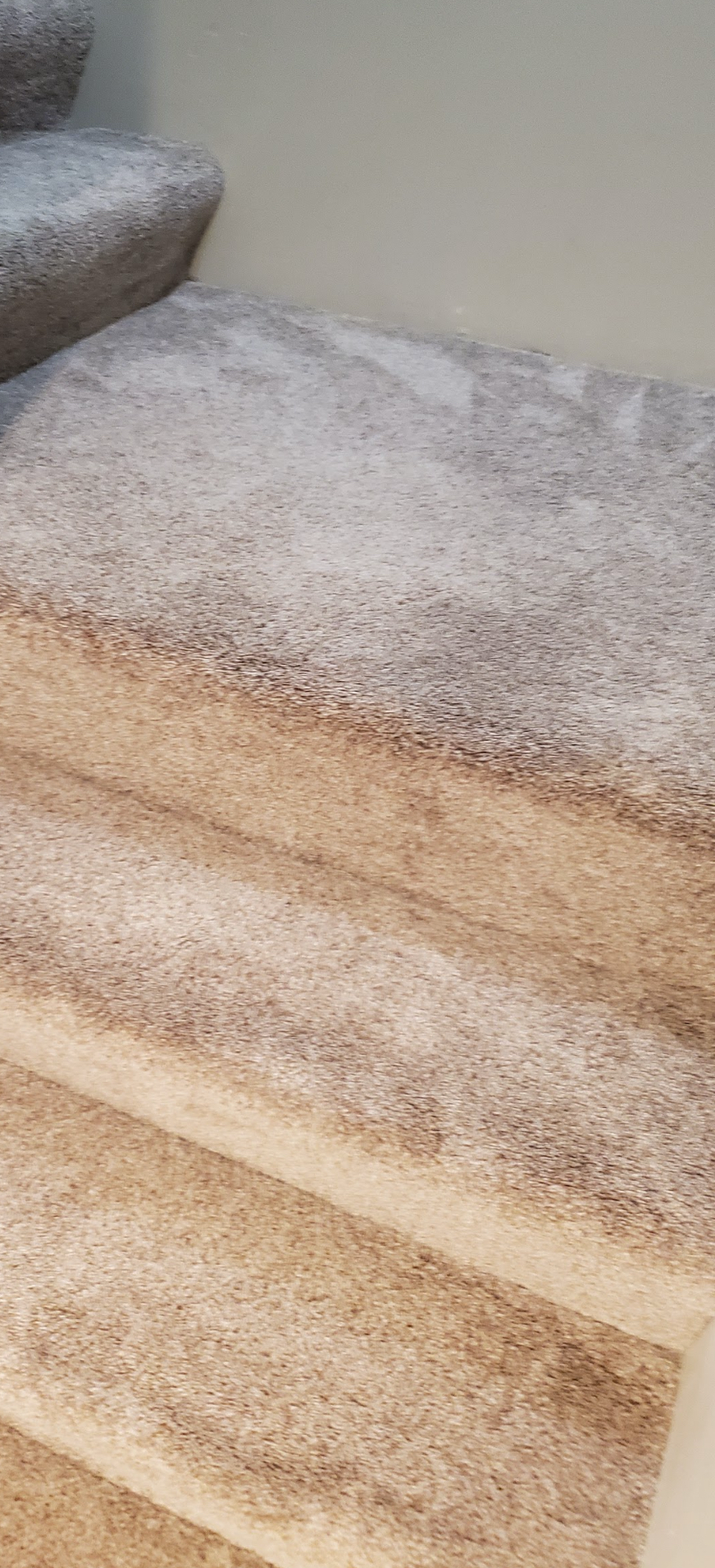 A close up of a staircase with carpet on the steps.