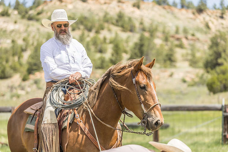 Cowboy on a brown horse holding rope in a sunlit grassy field with hills behind