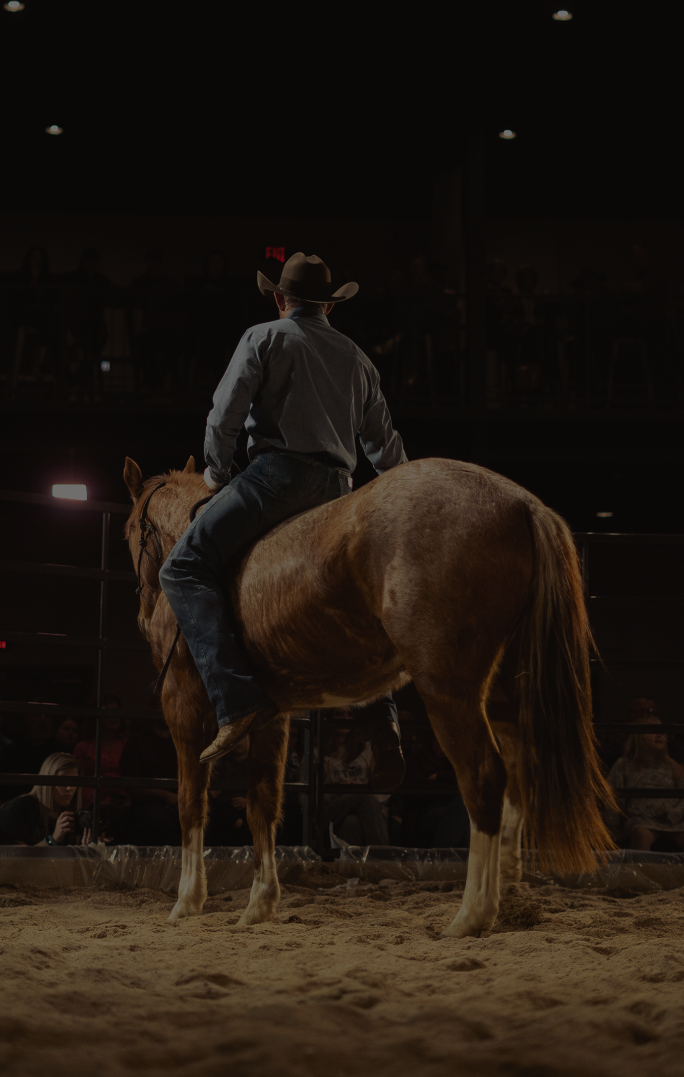 Person on a brown horse in a dimly lit arena, seen from behind.