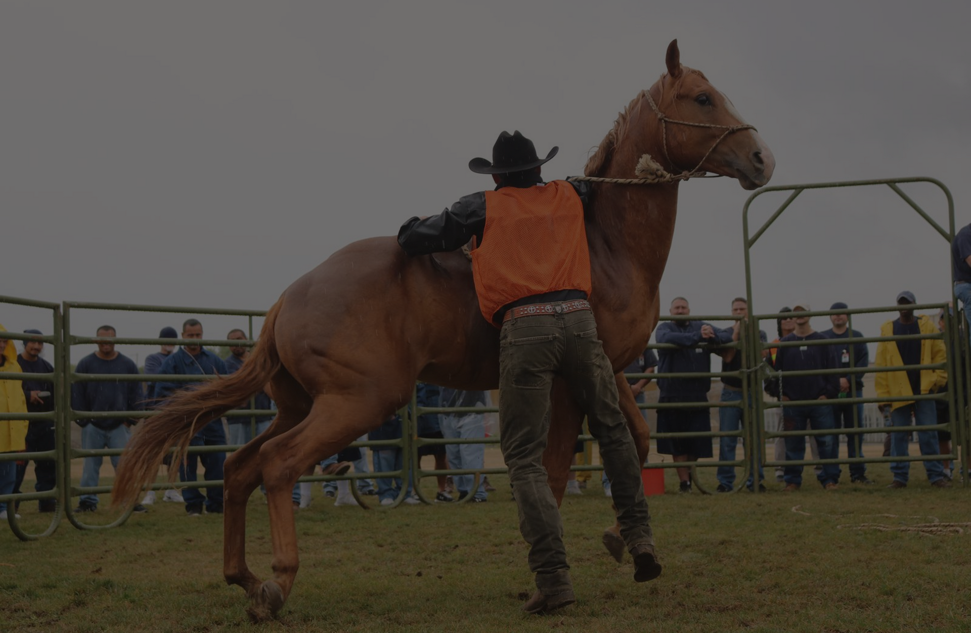 Person on a brown horse in a dimly lit arena, seen from behind.
