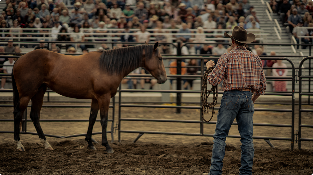 Cowboy facing a brown horse in a rodeo arena with a blurred crowd behind them