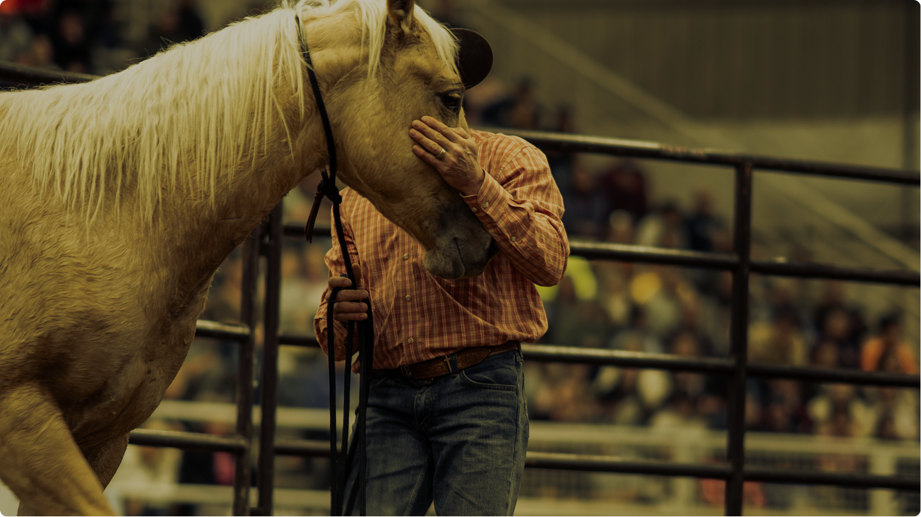Horse nuzzling a person in a plaid shirt inside an indoor arena