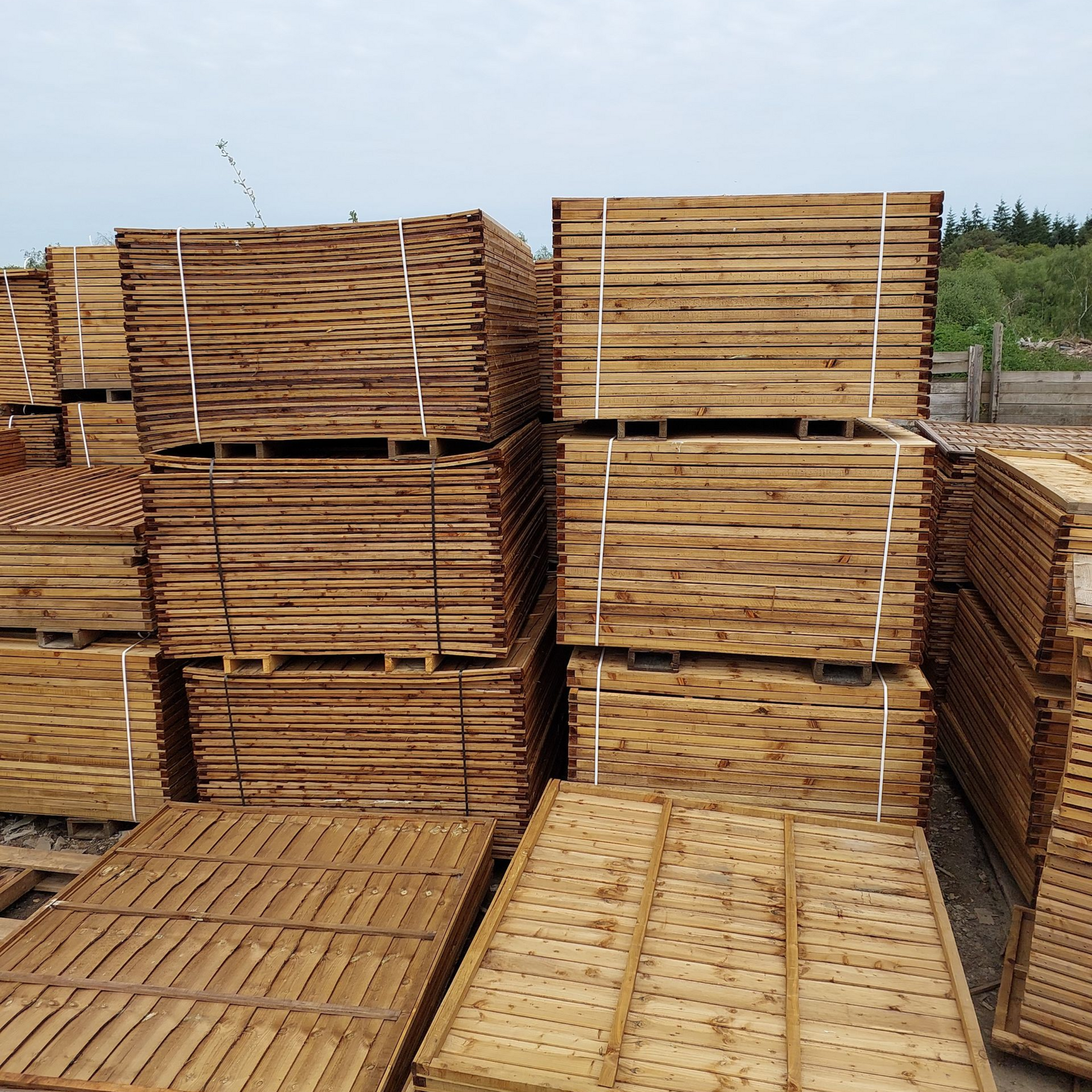 Fence posts and wire