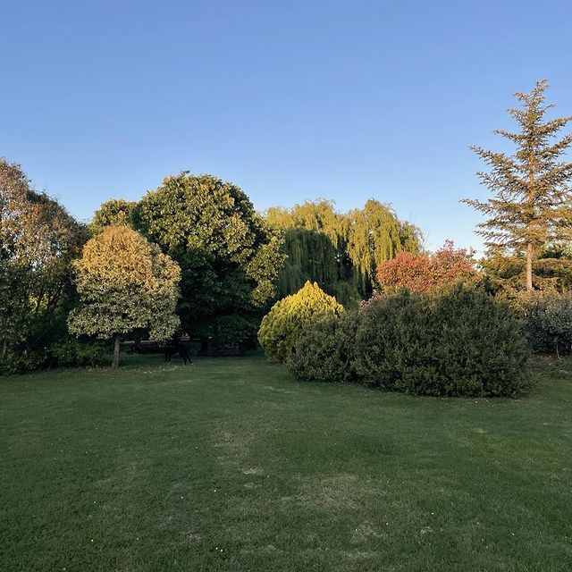 Parco con alberi