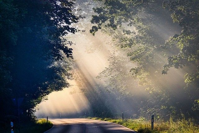 Voorhees Township, NJ cremation service