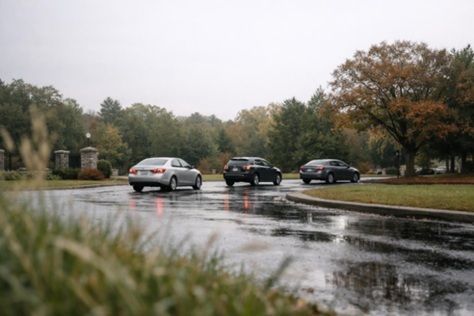 Three unmarked cars travel calmly along a rain-dampened tree-lined road toward a quiet cemetery park